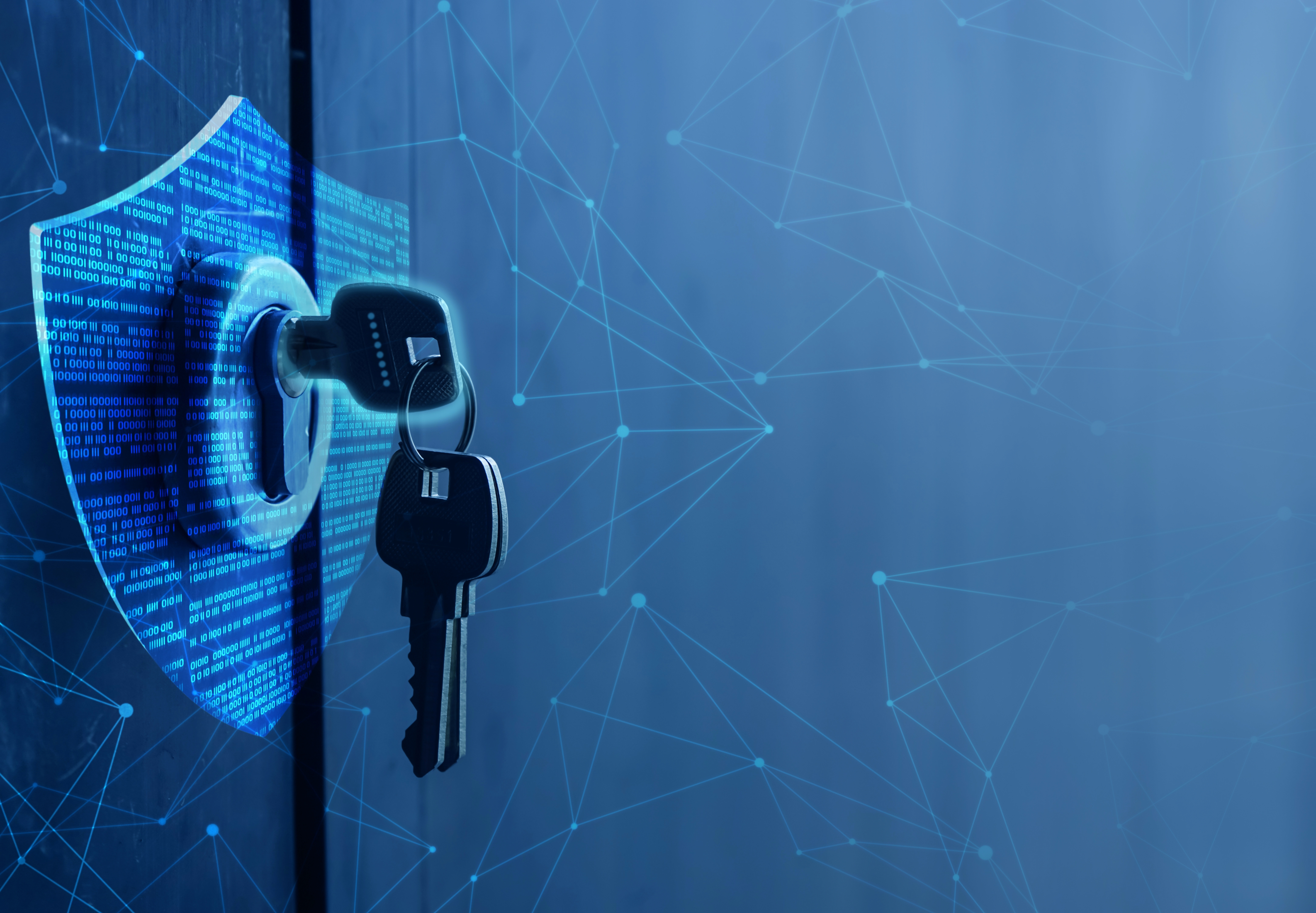 Closing the Door on Risk: Identity Management in Healthcare Today  